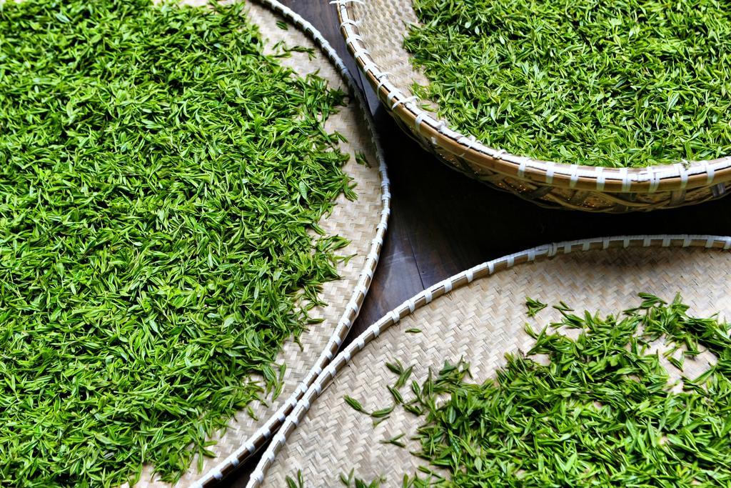 Landison Longjing Resort Ханчжоу Экстерьер фото